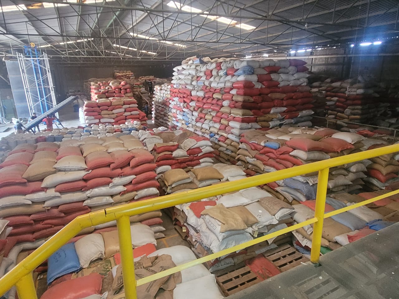 Stacks of green coffee sacks inside the Ocho Regiones dry milling facility